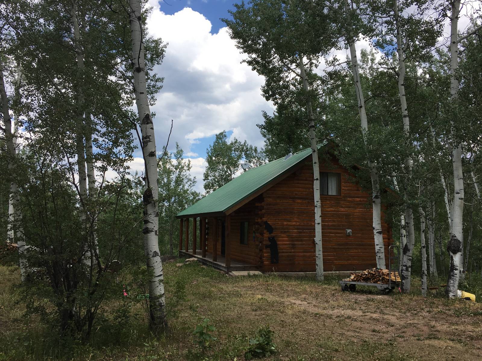 CO Cabin firewise